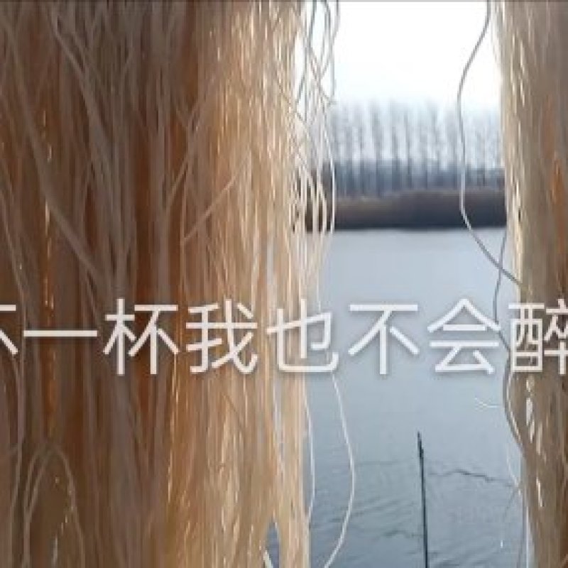 农家纯红薯粉丝，不添加防腐剂，不添加木薯粉，不添加明胶