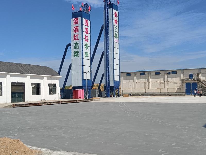 冀酿4号高粱种子新品种产量高矮杆大穗全糯价高