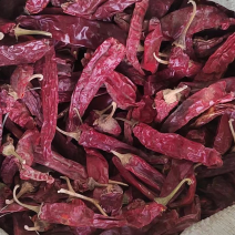 干辣椒，红龙13，红龙23，江红辣椒，现货供应，欢迎来电