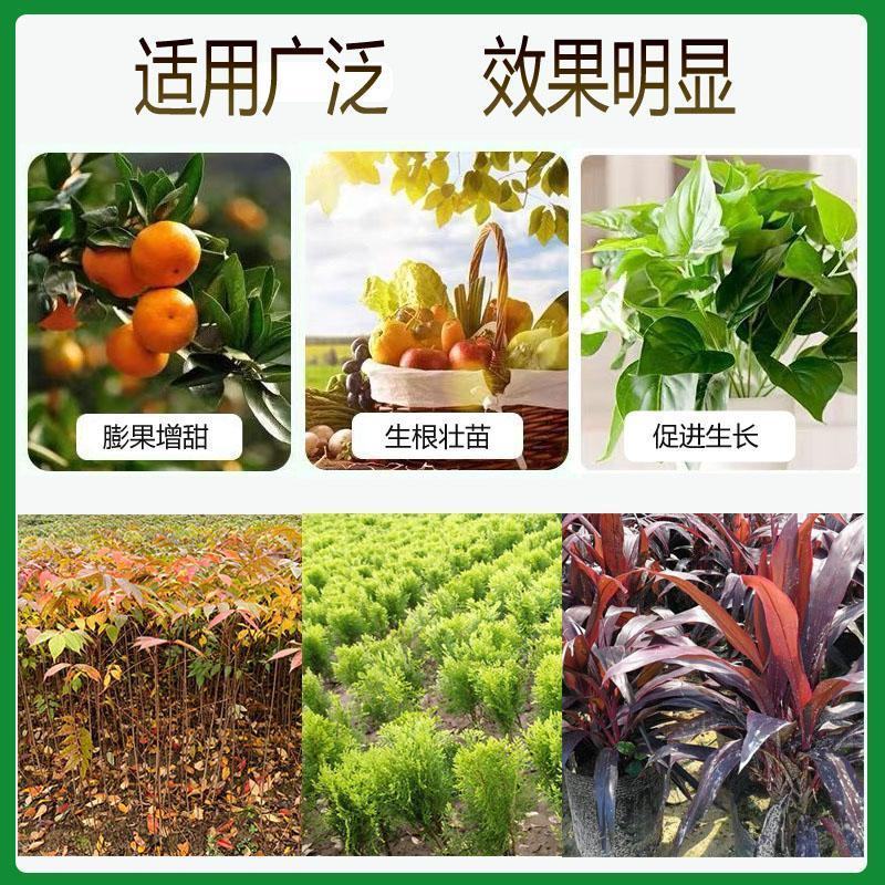 叶面肥全水溶农用磷钾肥果树蔬菜小麦玉米花卉通用国光磷酸二