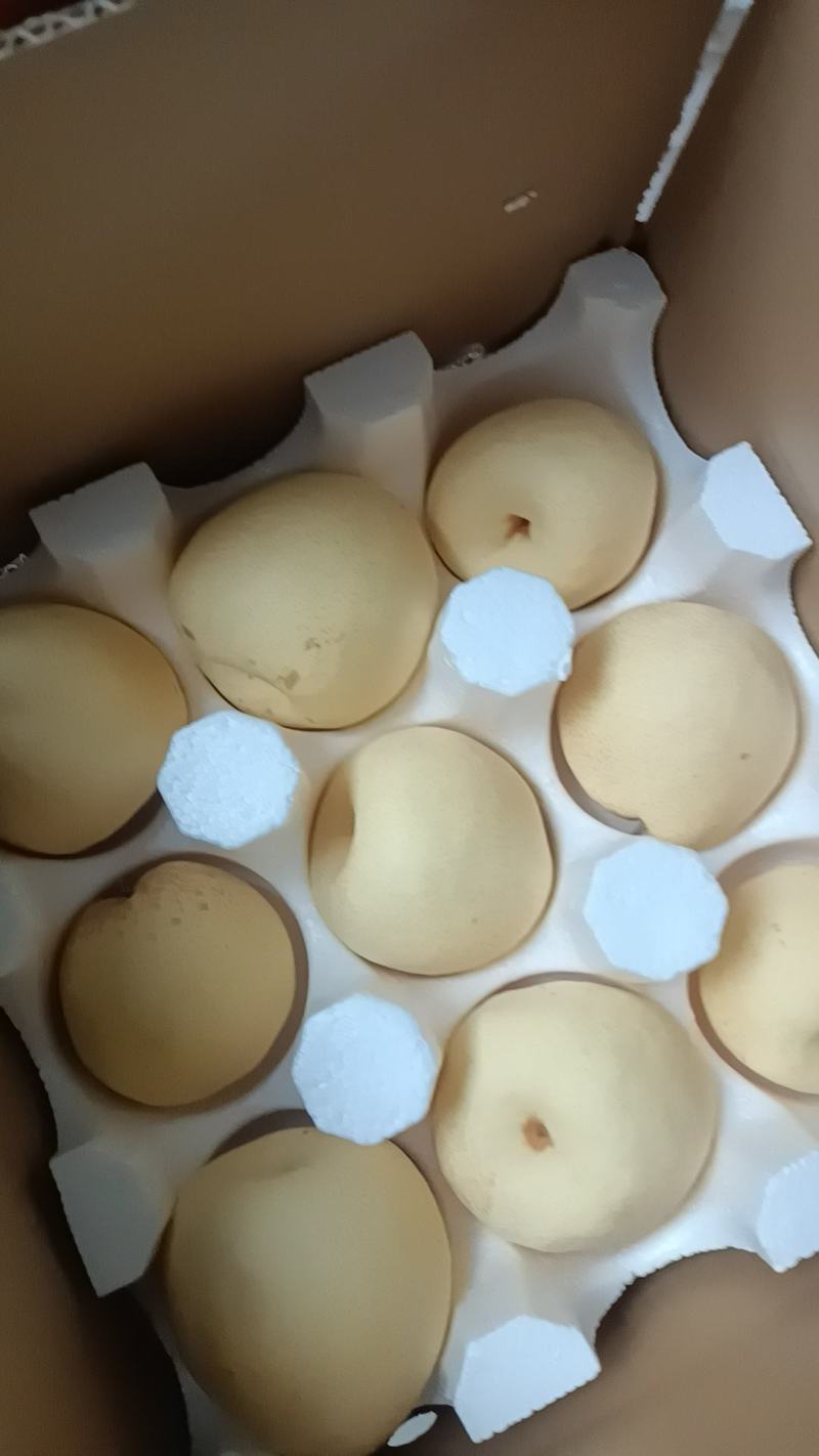 蒲城酥梨，甘甜多斗