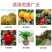 晶体二铵全水溶复合肥叶面肥果树花卉通用肥料农作物底肥冲施