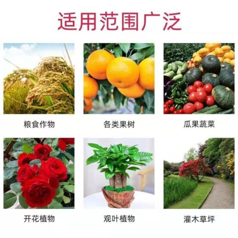 晶体二铵全水溶复合肥叶面肥果树花卉通用肥料农作物底肥冲施