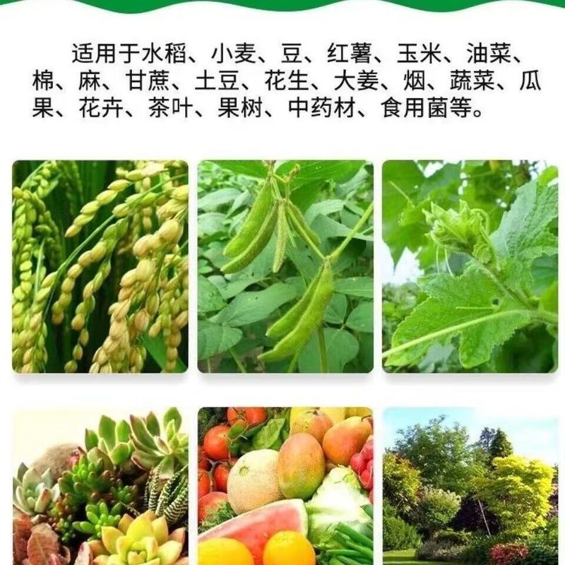 罗布泊硫酸钾农用钾肥小颗粒高效速溶蔬菜瓜果花卉通用型肥效