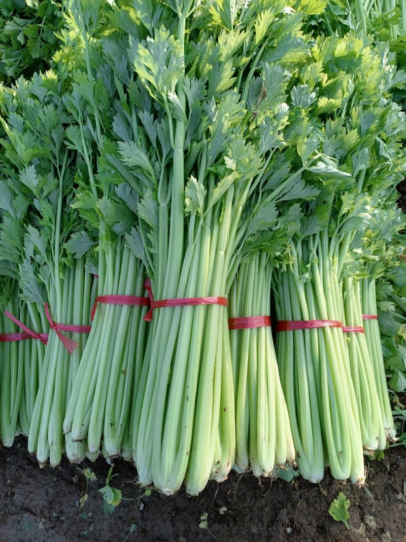 芹菜