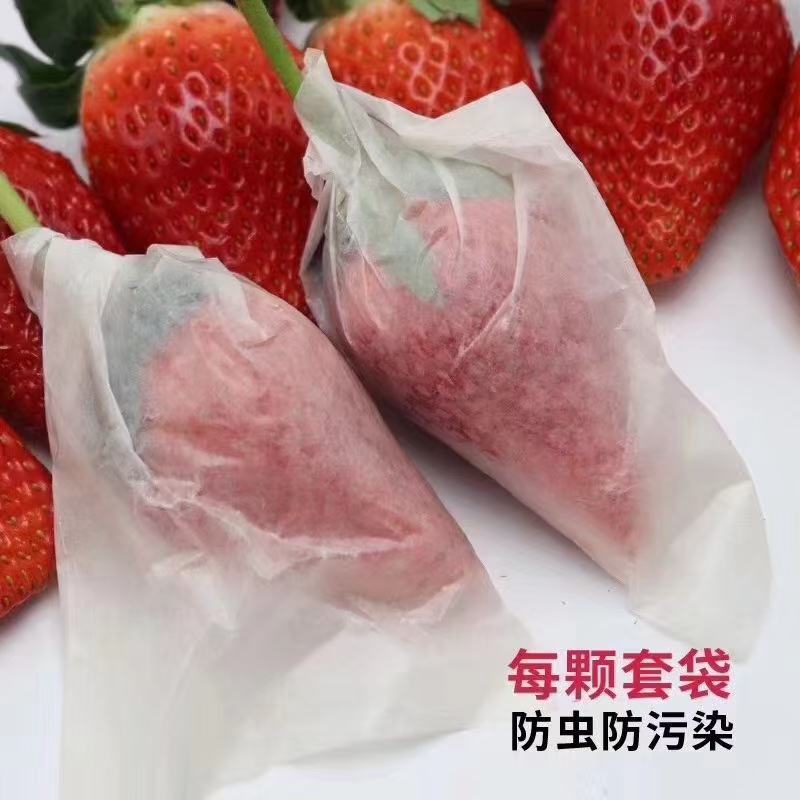 套袋草莓免洗草莓产地直供支持商超市场平台