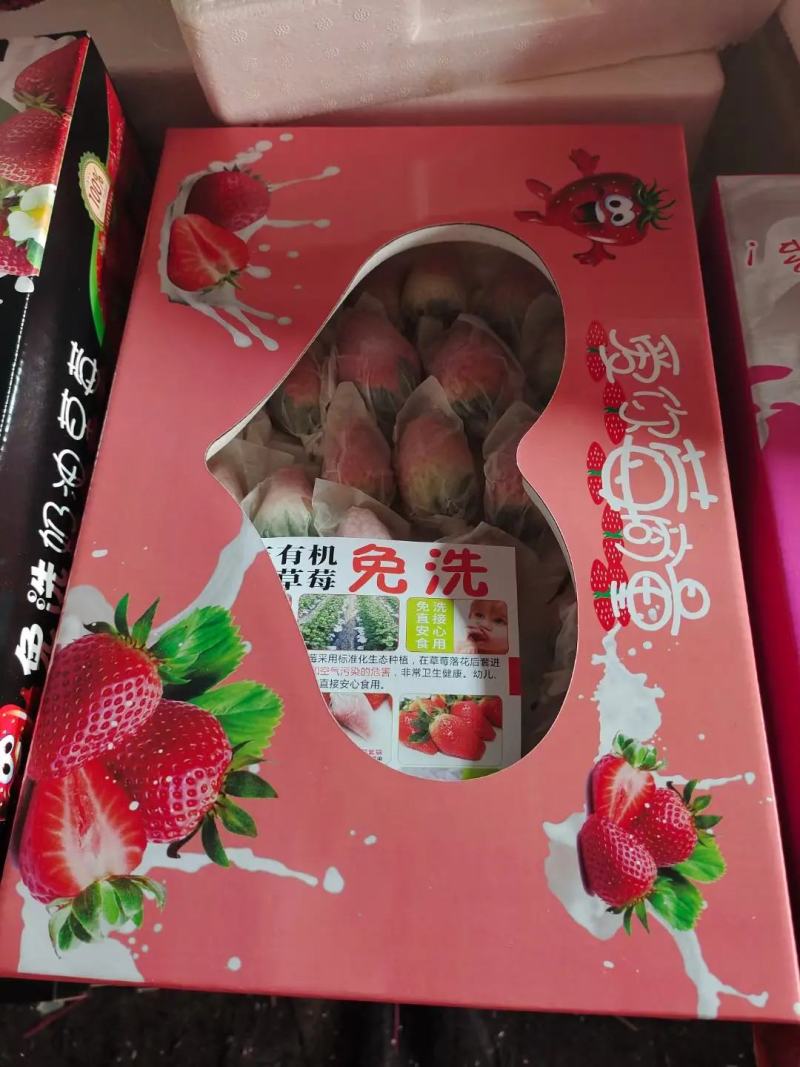 套袋草莓免洗草莓产地直供支持商超市场平台