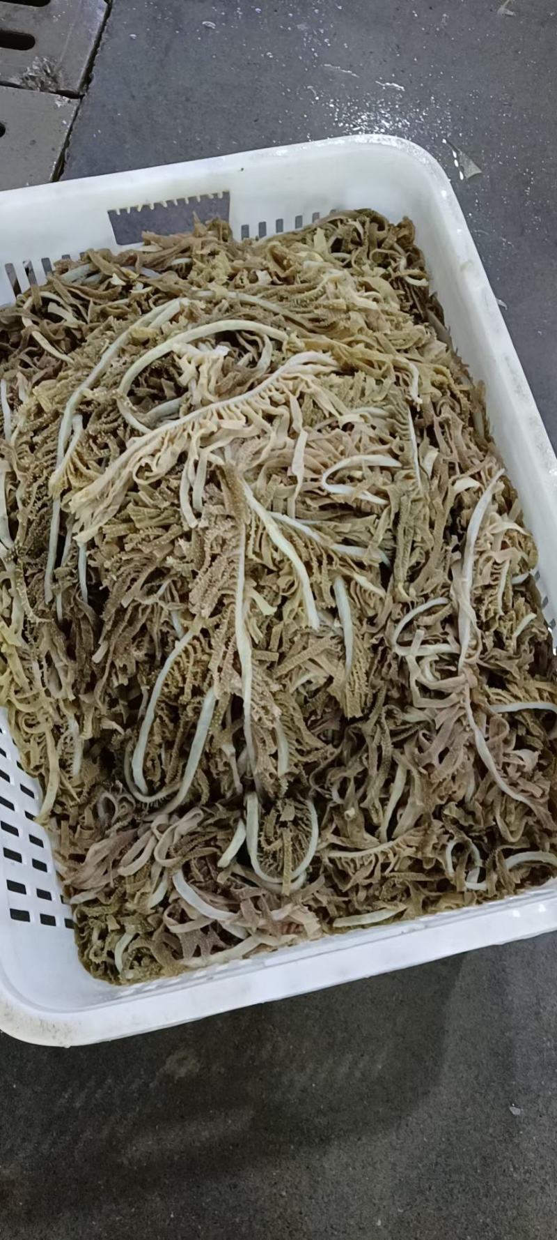 毛肚黑千层精品黑千层牛百叶厂家直供