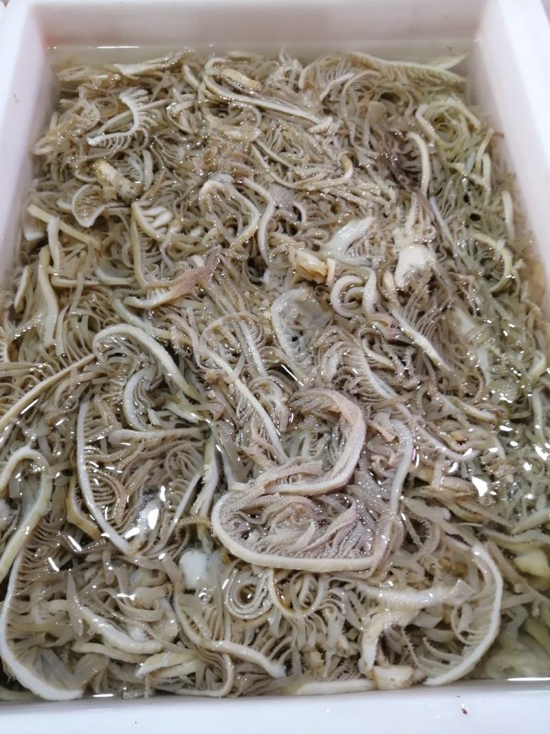 毛肚黑千层精品黑千层牛百叶厂家直供