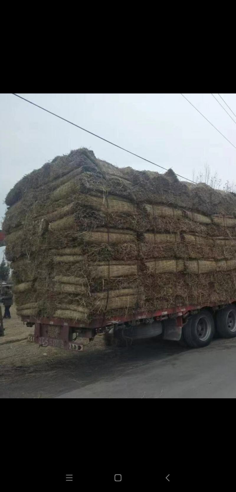 防滑草垫，大棚保温草帘稻壳，草绳