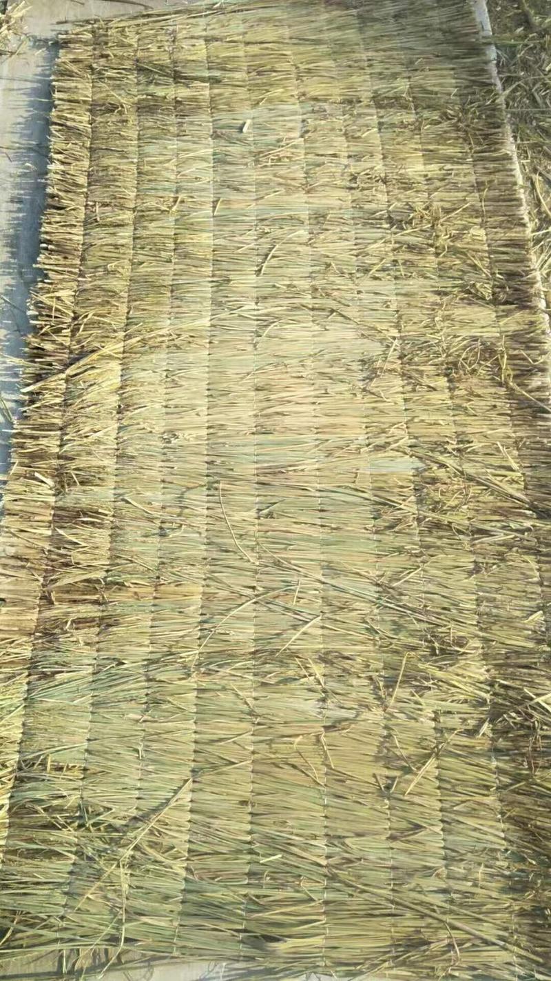 绿化草绳，大棚草帘全国发货，质量保证厂家供应