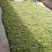水苔热销实力供货