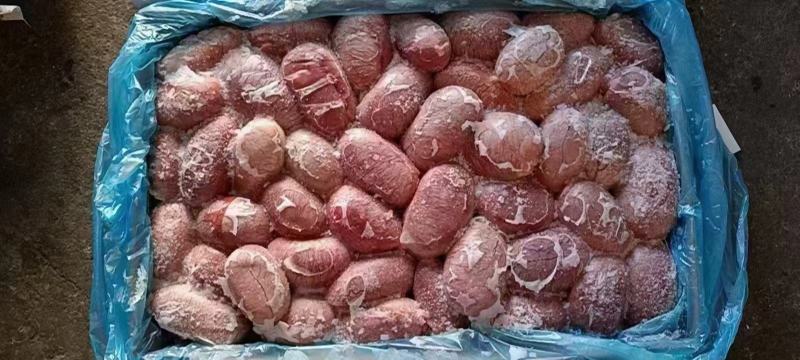 猪宝，男人加油站女人美容院，烧烤食材1111111111