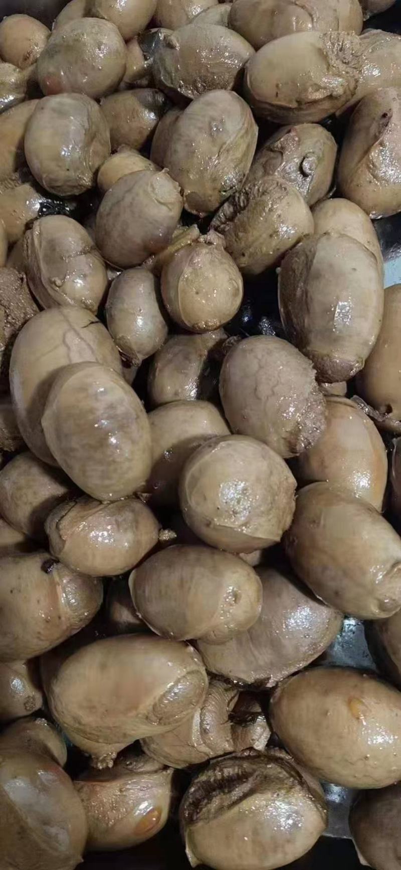 猪宝，男人加油站女人美容院，烧烤食材1111111111