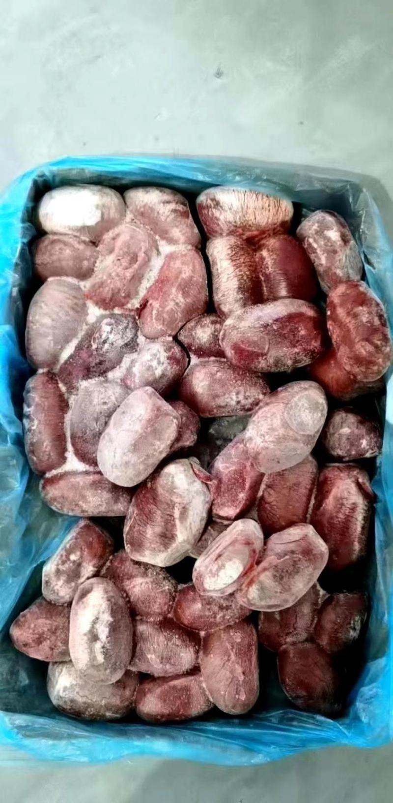 猪宝，男人加油站女人美容院，烧烤食材1111111111