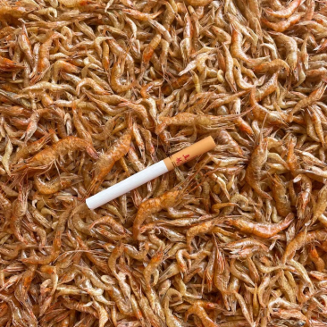 干虾大量批发广西虾干小河虾干日晒无盐小虾