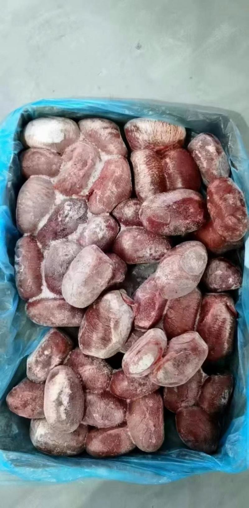 猪宝，烧烤佳品，适用于烧烤店。酒店食材111111111