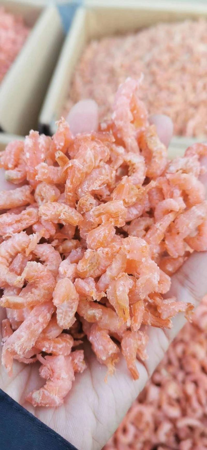 海米，鲜度十足，大量有货，支持定制，全