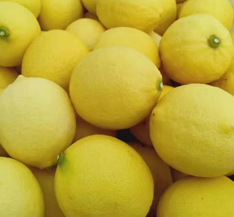 尤力克柠檬🍋，发全国，质量有保障