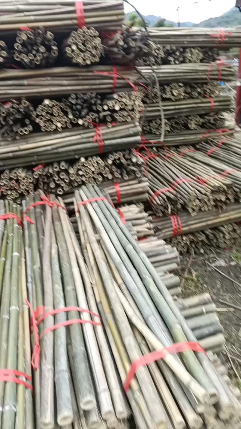 5米竹竿，节短，璧厚，山头一手货源，价格优惠。