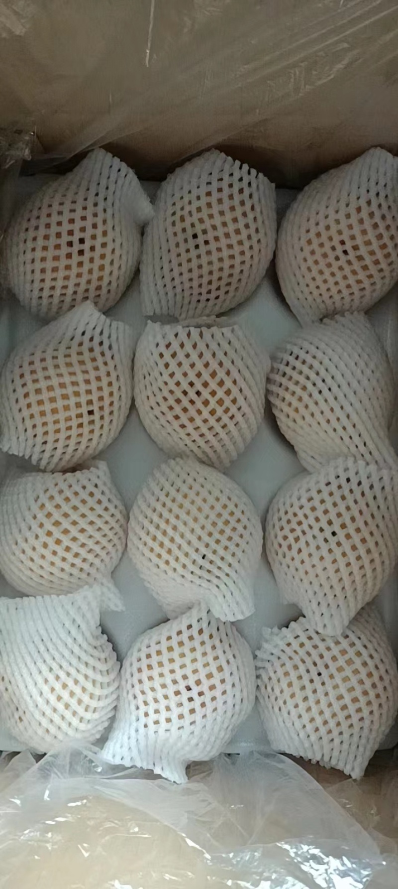大量供应晚秋黄梨，产地直发，支持社区团购批发价格