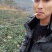 前胡贵州前胡交通方便一手货源物流发货