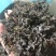 免洗地皮菜，泡发1-2次即可使用