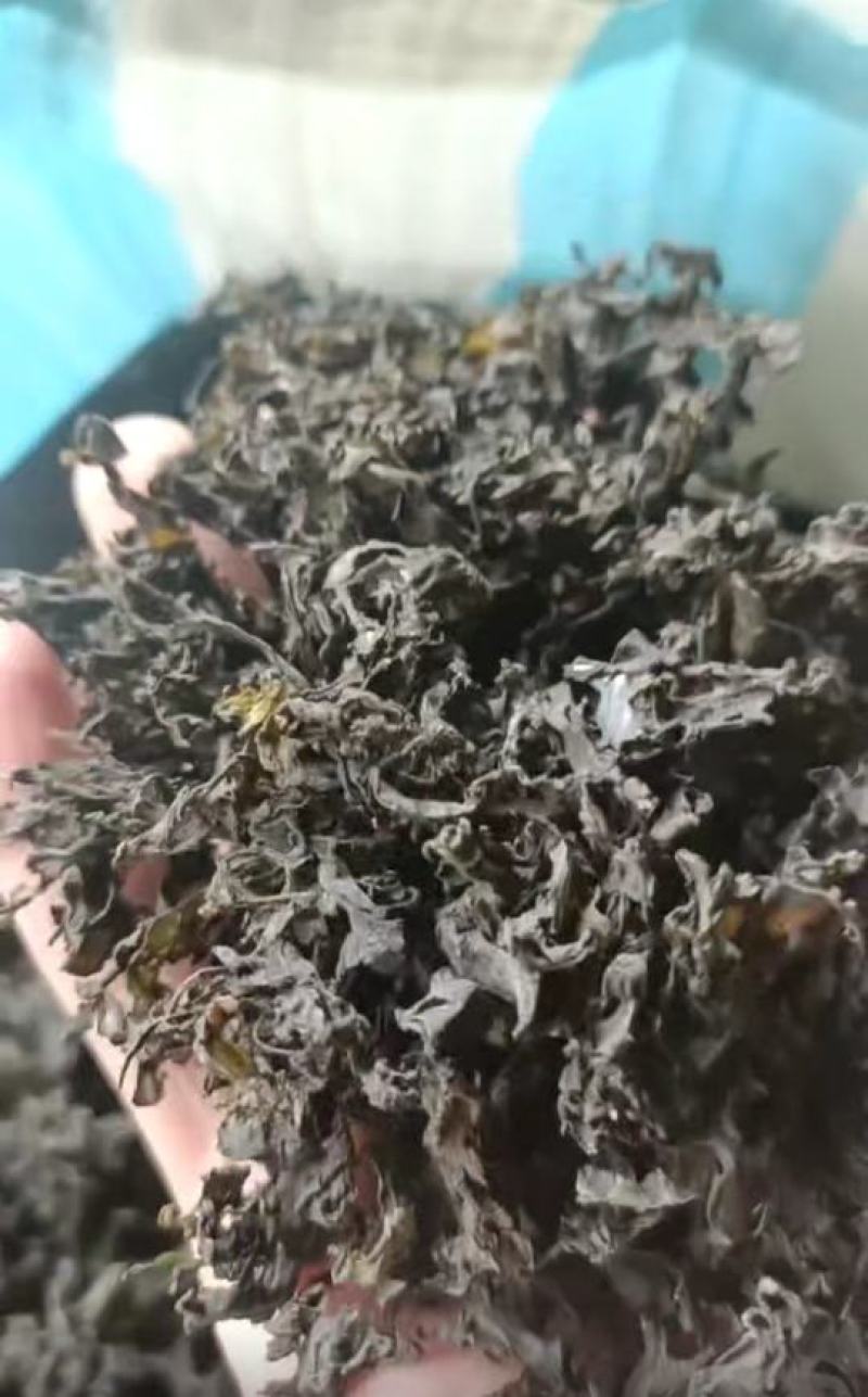免洗地皮菜，泡发1-2次即可使用