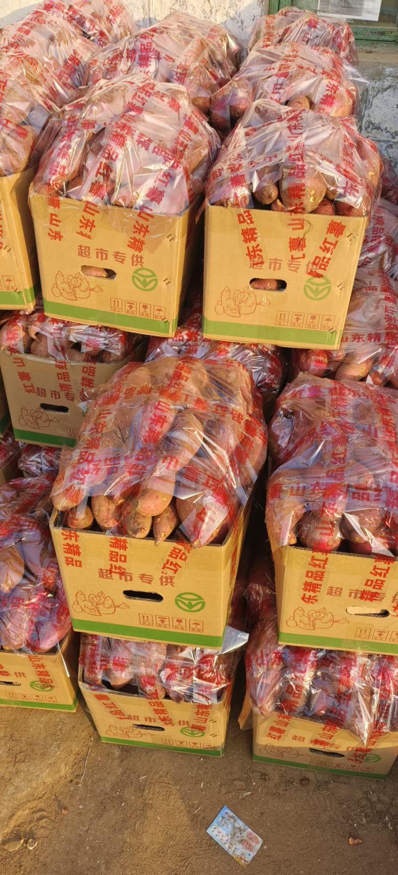 山东临沂西瓜红红皮红心