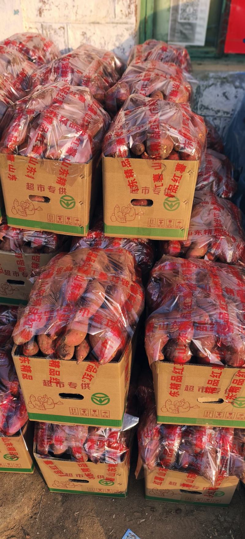 山东临沂西瓜红红皮红心