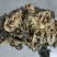 湖南华容干咸芥菜（脱水菜）品类优质，欢迎大家来电咨问。
