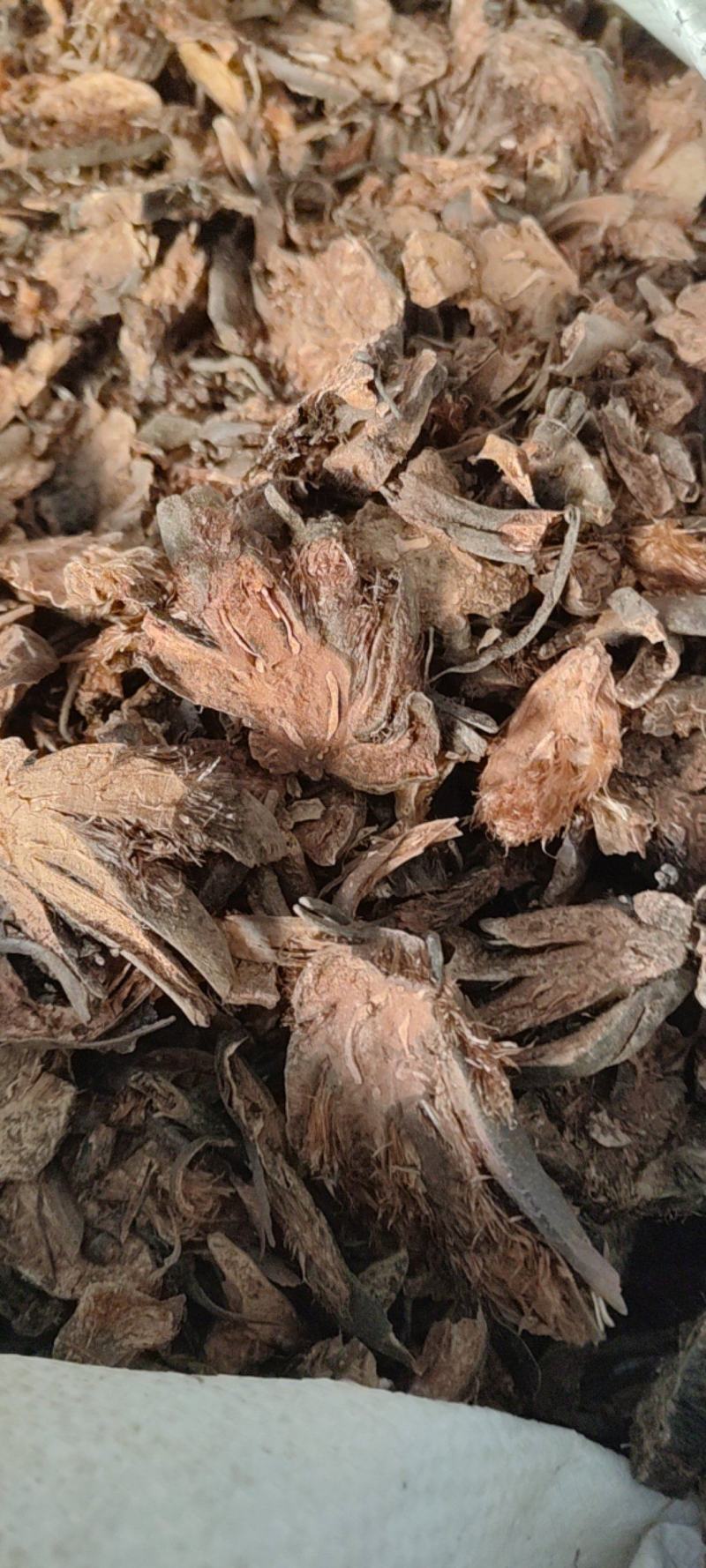 贯众，贯众批发，新货颜色好，贯众大货供应，产地货源