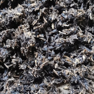 茅台镇酱香型酒糟