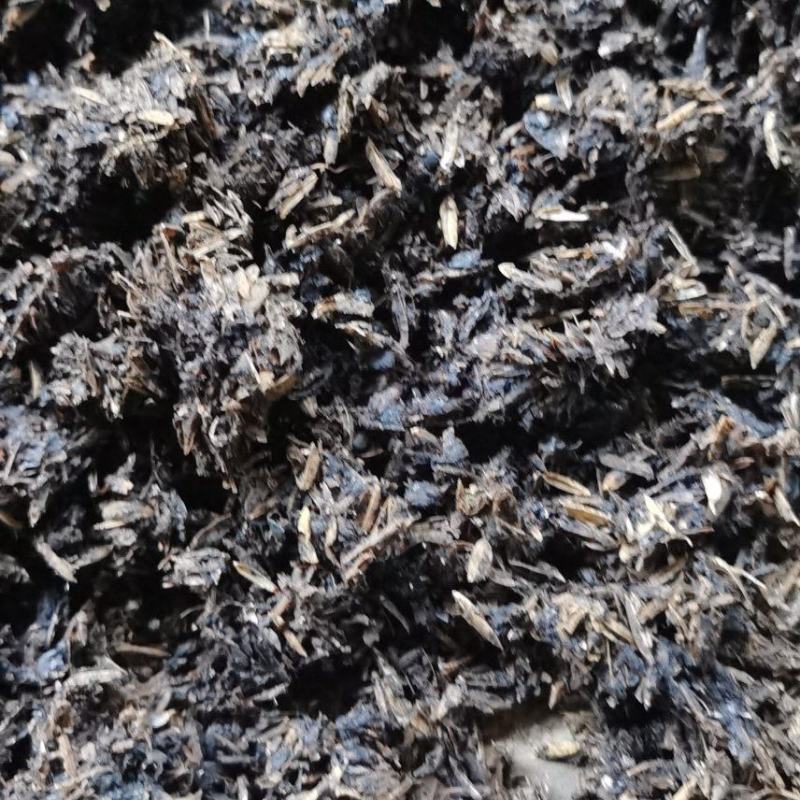 茅台镇酱香型酒糟