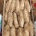 红泥土毛薯广东毛薯基地一手货！货源充足！价格实惠
