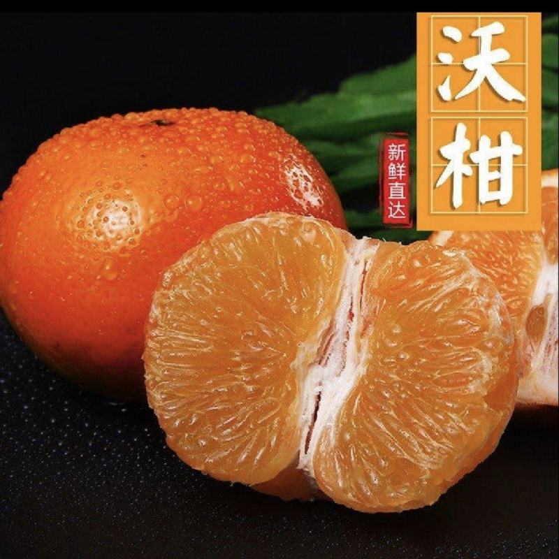 实力沃柑，广西产地直采，质量保证，全国代发，量大从优，