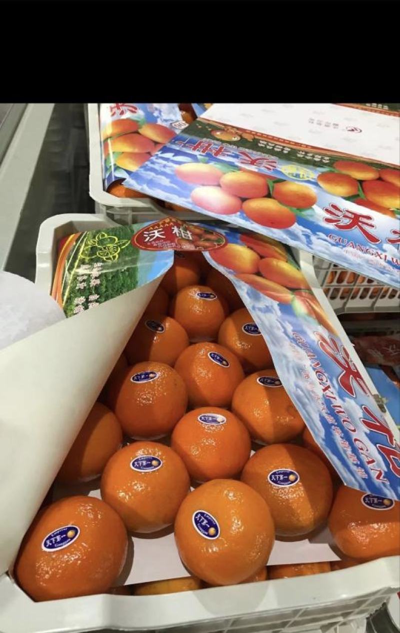 实力沃柑，广西产地直采，质量保证，全国代发，量大从优，