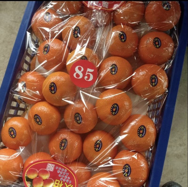 实力沃柑，广西产地直采，质量保证，全国代发，量大从优，