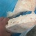 鸡板油鸡油大板优质产品价格实惠，现货出售