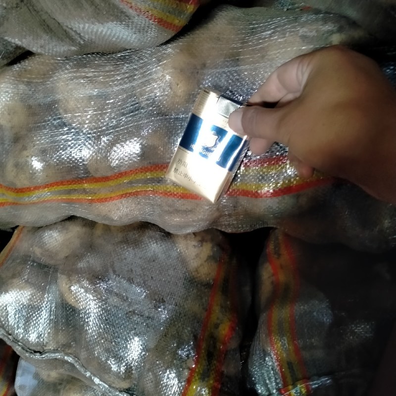 精品沃土开始出库