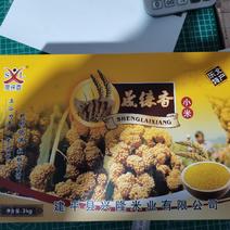 礼盒黄金苗k1小米
