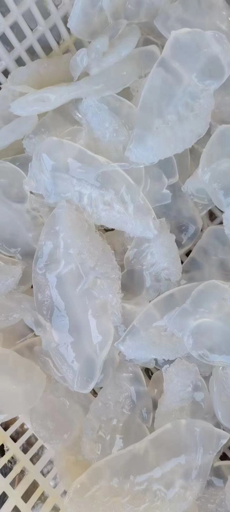 广东白花叶片，一手货源，库存量大，欢迎电商微商团购！