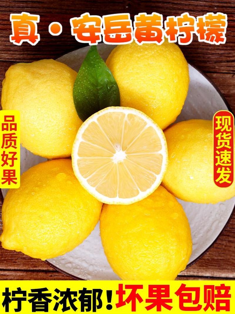 四川柠檬全国供应