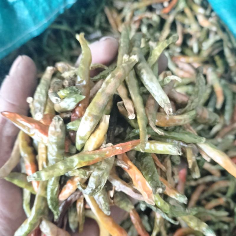 丘北青辣椒干