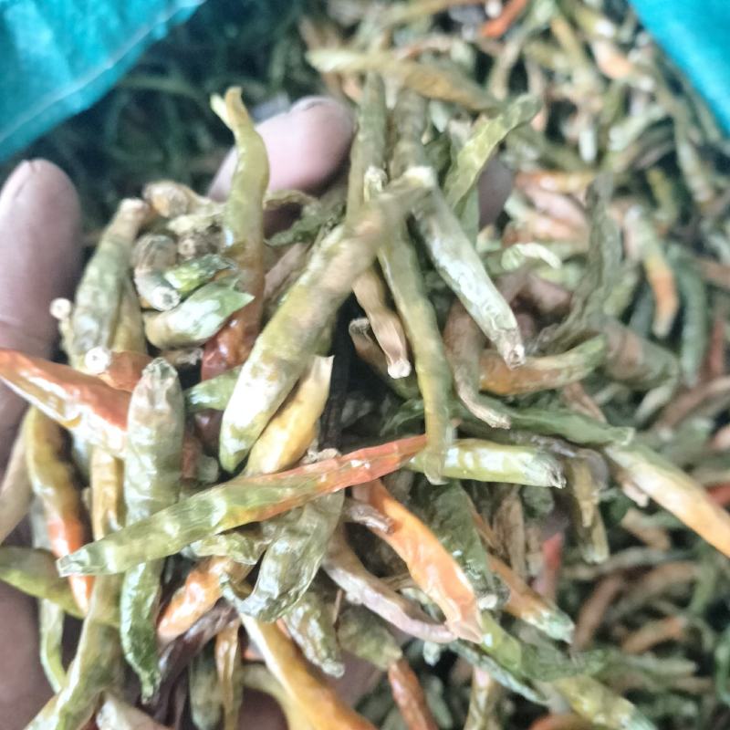 丘北青辣椒干
