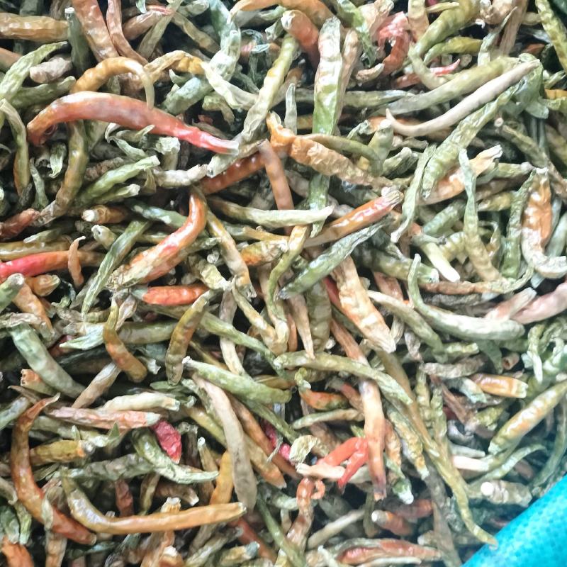丘北青辣椒干
