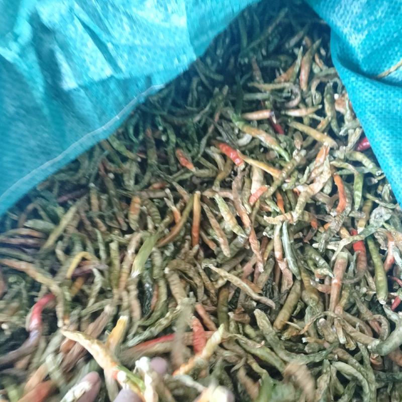 丘北青辣椒干
