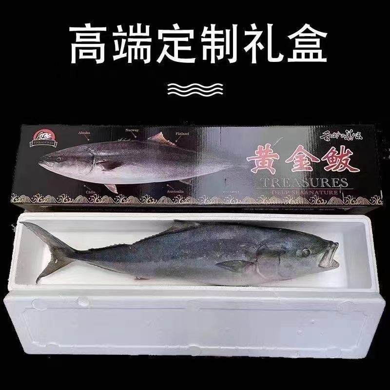 精品黄金鲅，现量发货，支持全国发货！一件代发！礼品打包！
