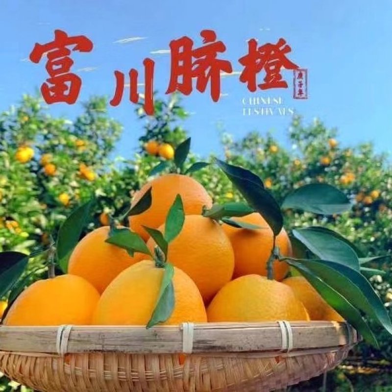富川大唐脐橙网络拍店