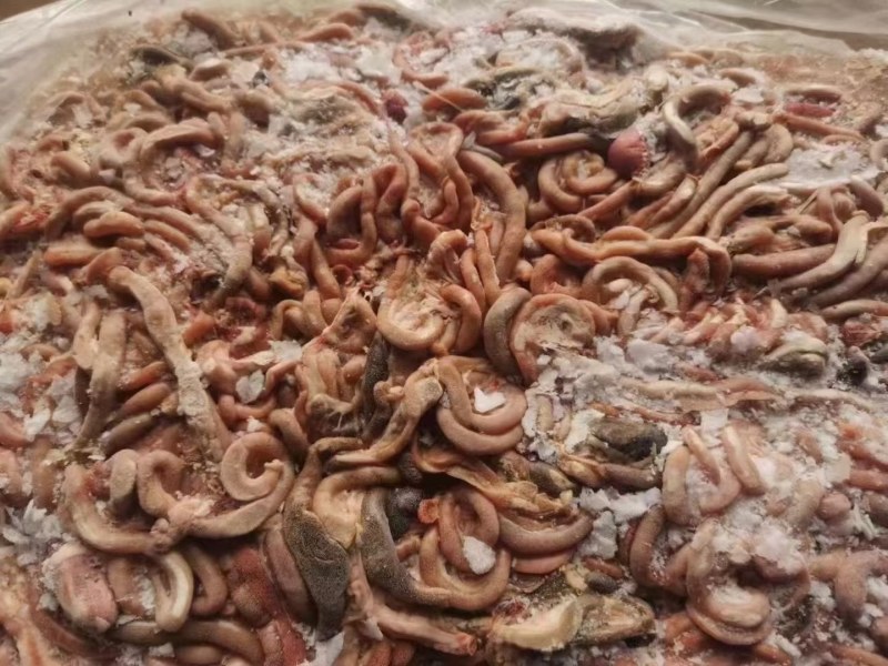 鸡肠小包装，箱装，板冻黄金鸡肠，817鸡肠，规格齐全现货